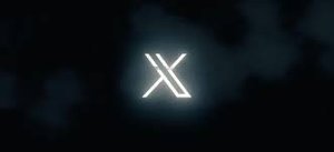 X logo icon for Blossom to Success social media links
